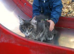Которысь и сынок)