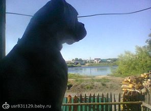 Наш вид из окна))))