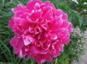 DSCN1326