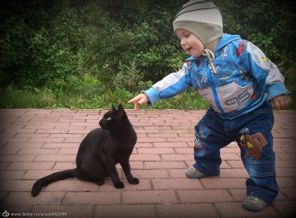 Первое знакомство с черным котом из детской песенки