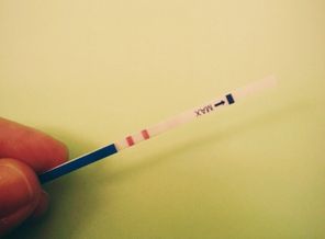 моему киндеру сюрпризу 5 недель