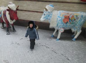 IMG_20141206_102732