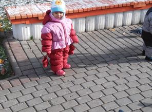 Покормите птиц зимой!