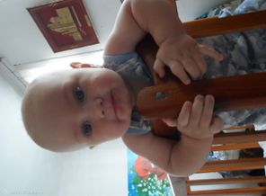 SAM_0168