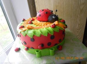 DSCN3231