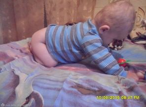 SAM_0445