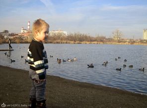 сынок