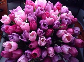 image1399925503.701846