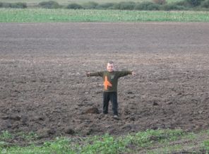 В поле