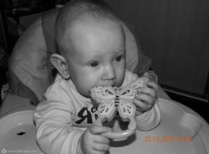 DSCN0088