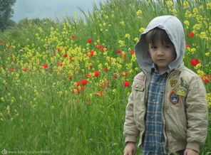 SAM_5958