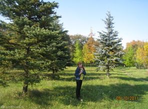 В городском парке