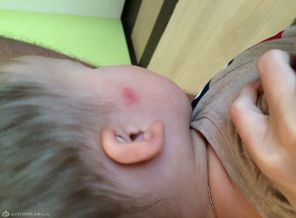 image1411322070.605493