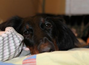 IMG_3462