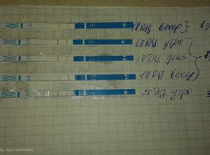 20150601_055833