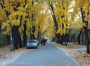 осеннее настроение