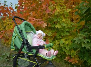 DSC_0546 (2)