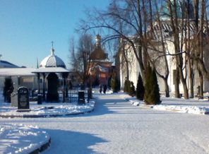 IMG_20150106_105831