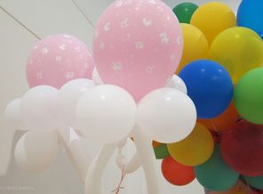 IMG_4520