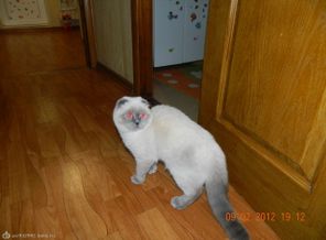 DSCN3851