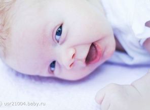 image (6)