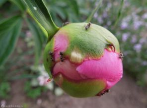 DSCN1342