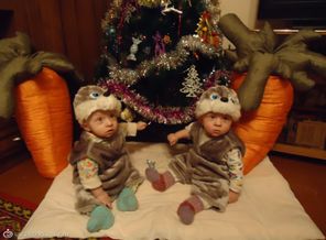 Мои зайчата