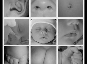 getImage (3)