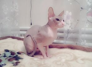 кисяяя моЯ