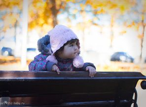 _DSC0296