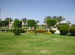 DSC03698