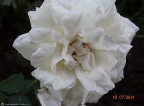 DSC00032
