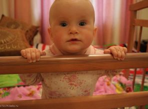 IMG_3481