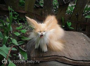 нечто