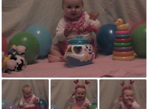 collage_photocat
