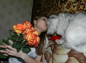 Поцелуйчики)))