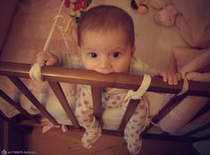 GFRANQ_ZNAMENIE_67617888_2400