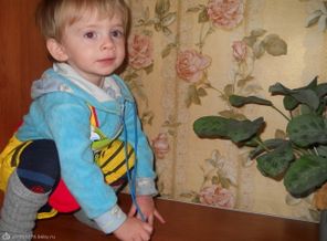 DSCN0118