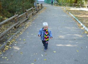 в парке 11.10.14