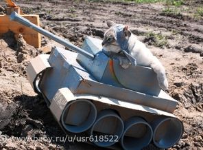 Кототанк руфуса