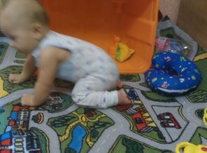 IMAG0136