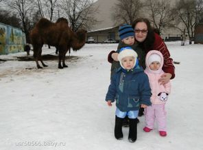 getImage (7)