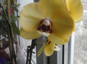 CAM00346