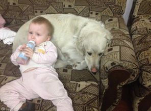 Алиса и Мили