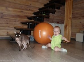 чистота и спорт -залог здоровья!)