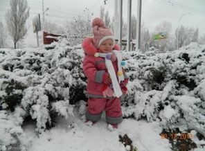 DSCN7985
