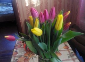 image (4)