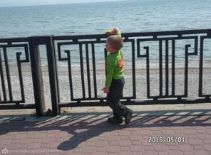 SAM_8356