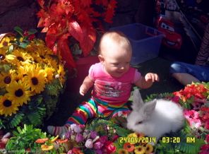 SAM_4773