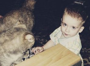 getImage (4)